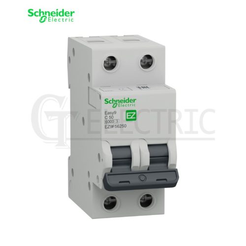 INTERRUPTOR TERMOMAGNETICO EASY9 2P 50AMP 10/6KA 230/400V, EZ9F56250, SCHNEIDER ELECTRIC